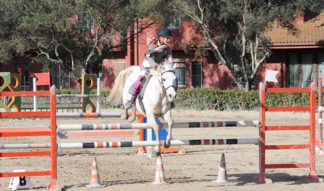  Cursos de equitación para niños